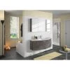 Pelipal Salle de bain 4010 III (2 élém.) - Avec éclairage - Graphite -Meubles de salle de bain Soldes 2022 1000152614 190117 10191500050 IMAGE P000000001000152614