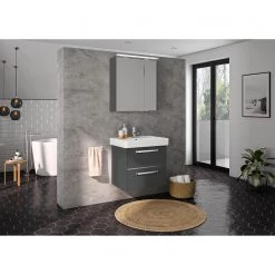 Pelipal Salle de bain 3050 I (2 éléments) - Éclairage inclus - Avec vasque en céramique - Gris mat - Largeur : 65 cm -Meubles de salle de bain Soldes 2022 1000194112 191112 15581500150 MOOD DETAILS P000000001000194112 mood