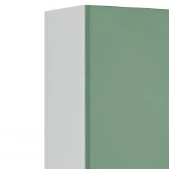 Giessbach Meuble haut Skanste - Vert - Largeur : 25 cm -Meubles de salle de bain Soldes 2022 1000201837 200115 06133800033 DETAILS P000000001000201837