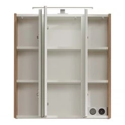 Pelipal Armoire de toilette Saskia - Éclairage inclus - Imitation chêne Riviera - Largeur : 65 cm -Meubles de salle de bain Soldes 2022 1000207452 200304 15013900033 DETAILS P000000001000207452