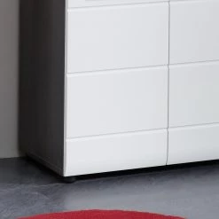 Trendteam Meuble sous lavabo Storm - Blanc brillant / Gris -Meubles de salle de bain Soldes 2022 1000210971 200507 06250400021 DETAILS P000000001000210971