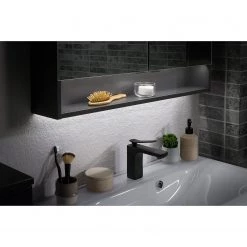 Fackelmann Armoire de toilette Luna - Avec éclairage - Anthracite -Meubles de salle de bain Soldes 2022 1000249497 210219 10410900025 DETAILS P000000001000249497