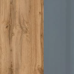 Giessbach Meuble bas Tira - Verre Gris / Imitation chêne Wotan 29 Giessbach Meuble bas Tira - Verre Gris / Imitation chêne Wotan -Meubles de salle de bain Soldes 2022 1000267058 210601 09303600069 DETAILS P000000001000267058