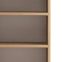 Giessbach Armoire de salle de bain Tira - Verre Gris / Imitation chêne Wotan -Meubles de salle de bain Soldes 2022 1000267060 210601 09311000093 DETAILS P000000001000267060