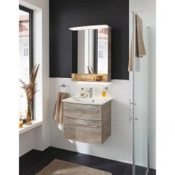 Fackelmann Armoire de toilette B.Style - Avec éclairage intégré - Chêne gris - Largeur : 60 cm -Meubles de salle de bain Soldes 2022 1000287836 211215 074340000028 MOOD DETAILS P000000001000287836 mood