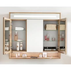 Fackelmann Armoire de toilette Natura - Avec éclairage - Imitation chêne à nœuds -Meubles de salle de bain Soldes 2022 1000300281 211026 11050500042 MOOD DETAILS P000000001000300281 mood