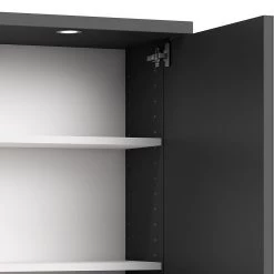 Loftscape Armoire de toilette Brodda - Avec éclairage - Anthracite -Meubles de salle de bain Soldes 2022 1000339927 220310 033 DETAILS P000000001000339927
