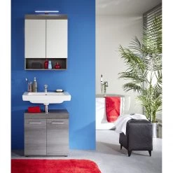 Trendteam Armoire de toilette Runner - Argent cendré 12 Trendteam Armoire de toilette Runner - Argent cendré -Meubles de salle de bain Soldes 2022 spiegelschrank runner by trendteam rauchsilber 5089292